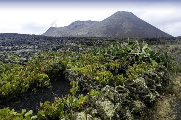 火山LaoPeople'sRepublic老挝人民共和国日冕和葡萄山谷-LaoPeople'sRepublic老挝人民共和国nz