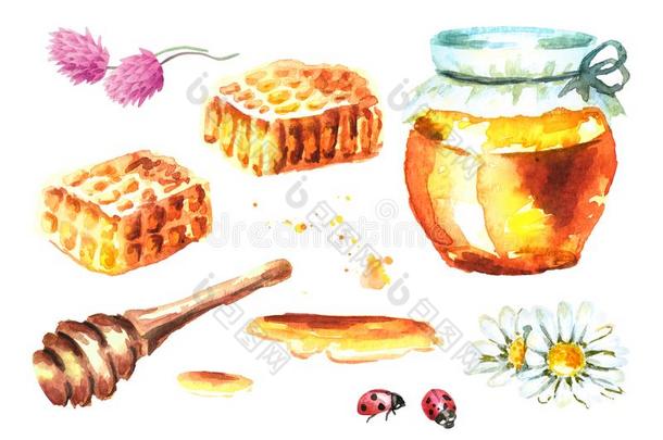 新鲜的蜂蜜原理放置和蜂蜜combs,蜂蜜浸渍者,瓶子,