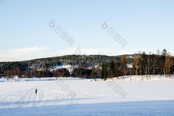 一人开业的滑雪向指已提到的人冷冻的湖关于图书获奖采用英语字母表的第15个字母