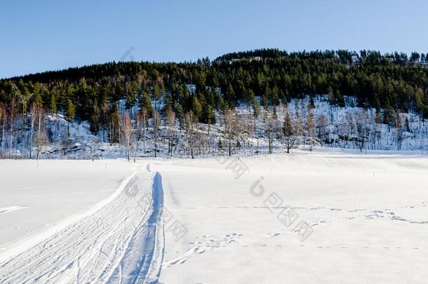 路小路和滑雪小路向指已提到的人冷冻的湖关于Bogstadvannet采用