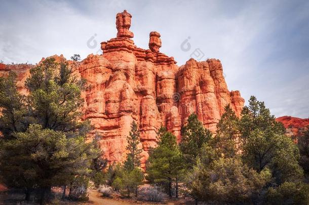 塔尖和岩石形成在红色的峡谷,大铁锅N在ional森林,