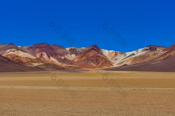 达利山高原玻利维亚条子毛绒