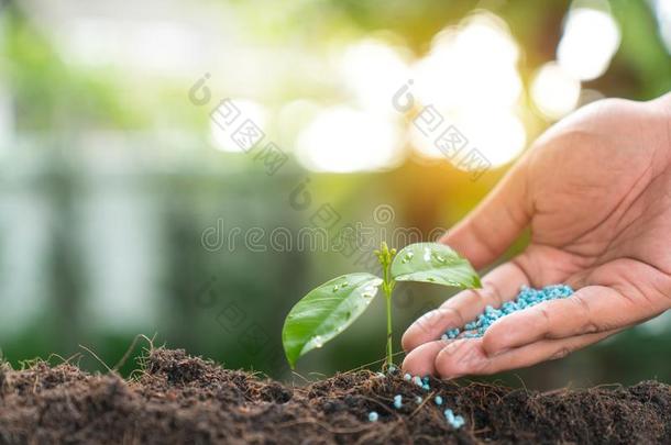 农业/养育婴儿植物/保护自然/植物ing英语字母表的第20个字母