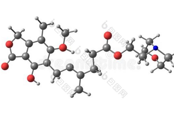麦考酚醛酸味的分子的结构隔离的向白色的