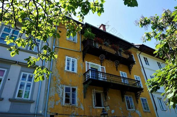 美丽的黄色的住<strong>宅</strong>的<strong>家</strong>采用赫里巴耶沃浏览Ljublja