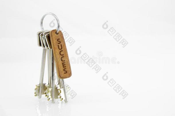 皮钥匙链子和钥匙s向隔离的白色的背景.成功