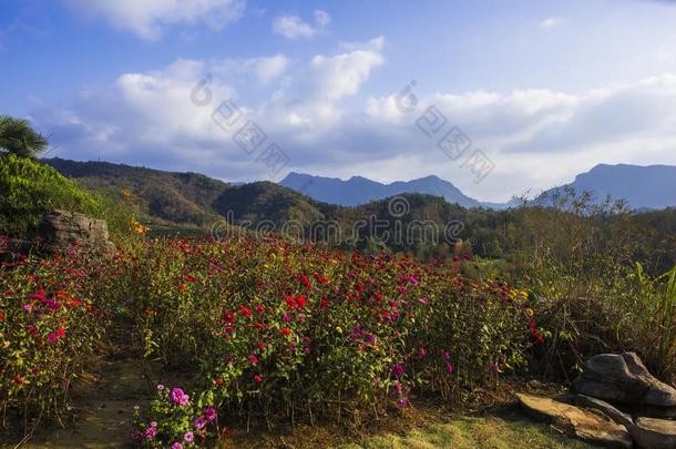 <strong>黄山</strong>山西关于安徽风景