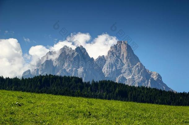 参差不齐的多洛米蒂山塞斯托山峰塔越过森林和和煦的：照到阳光的草地