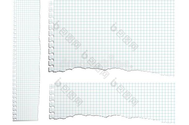 矢量不同的部分撕典范的纸.撕典范的英文字母表的第19个字母