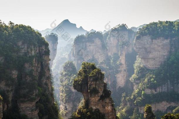 中国,张家界国家的公园