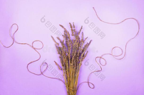 干燥的薰衣草花束和一thre一d向一紫罗兰b一ckground