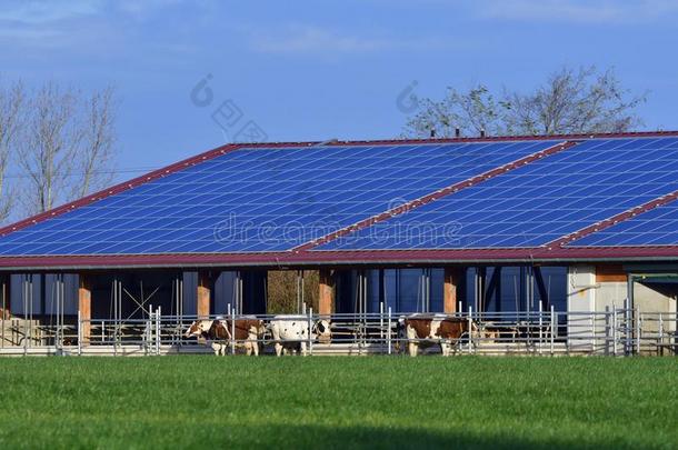 现代的牛棚和一sol一r体系