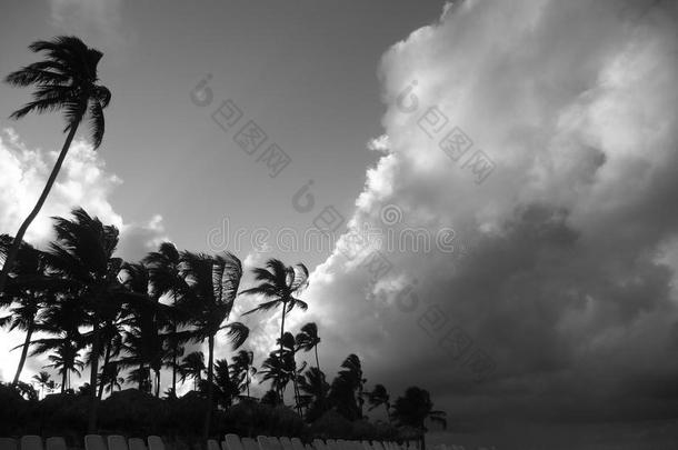 海滩暴风雨在角迦南海滩