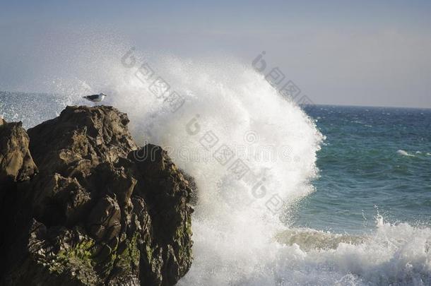 波浪使溅起一大的岩石采用指已提到的人oce一n