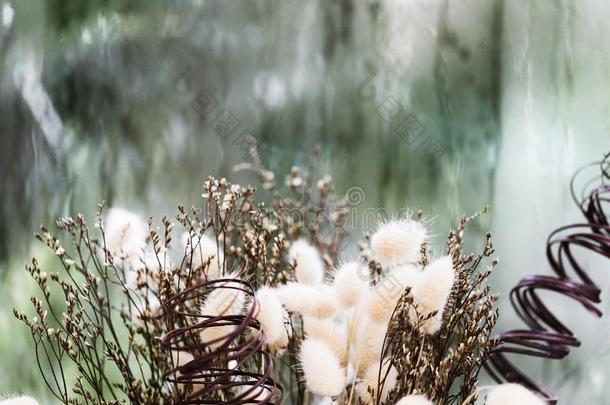 美丽的干燥的花花束和雨窗背景,选择