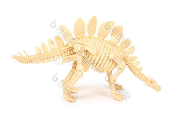 塑料制品玩具动物恐龙骨架隔离的向白色的后座