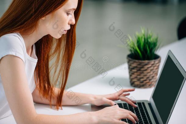 女人打字向便携式电脑在工作场所女人工作的采用家办公室