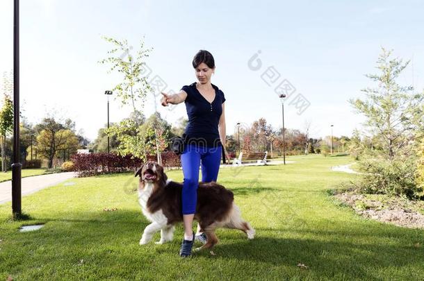 狗训练专业的处理者关系户外的公园practice实践