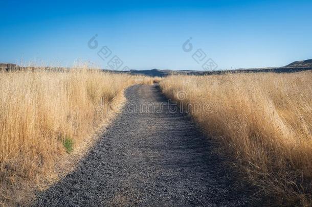 小路通过干的干燥的身材高的草采用<strong>帕卢斯</strong>降低国家公园