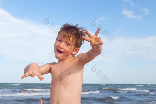 幸福的男孩所有乐趣向指已提到的人背景关于海