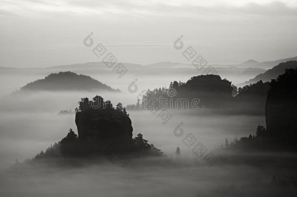 看法进入中深的多雾的山谷采用萨克森法兰绒.砂岩山峰和多岩石的