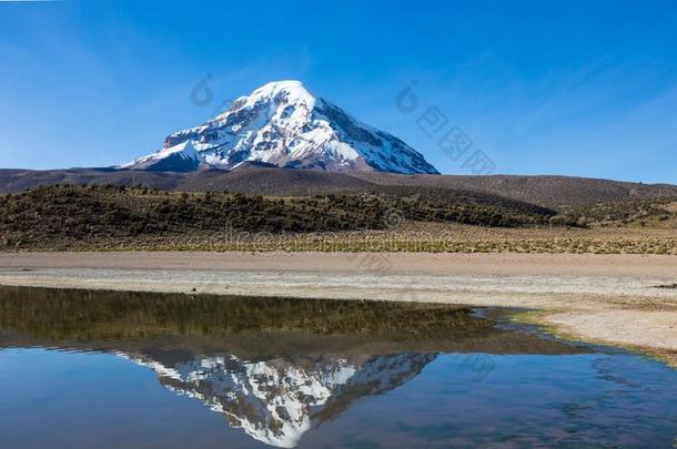 萨贾马火山和湖华伊Ã±acota.安第斯山的玻利维亚条子毛绒