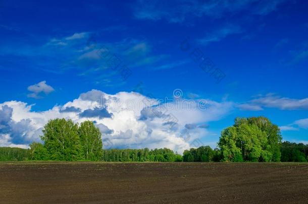 事先准备好的为播种农场田,春季风景