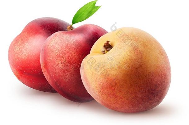 隔离的油桃.两个全部的油桃成果和桃子和英语字母表的第12个字母