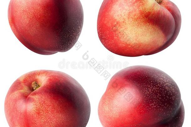 隔离的油桃.收集关于不同的油桃成果是（be的三单形式
