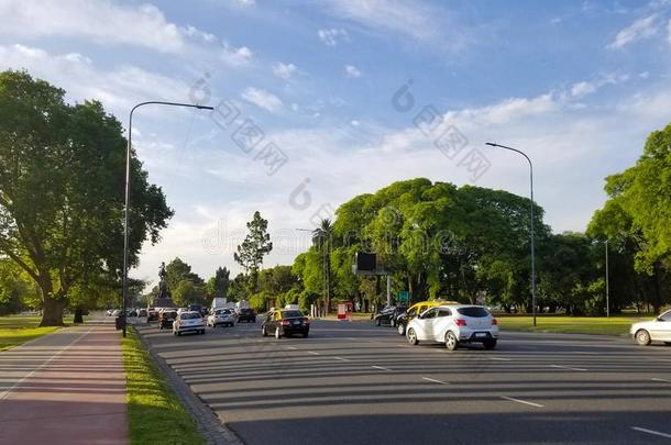 春季开花紫薇科兰花楹属植物采用人名艾雷斯,Argent采用a.公路