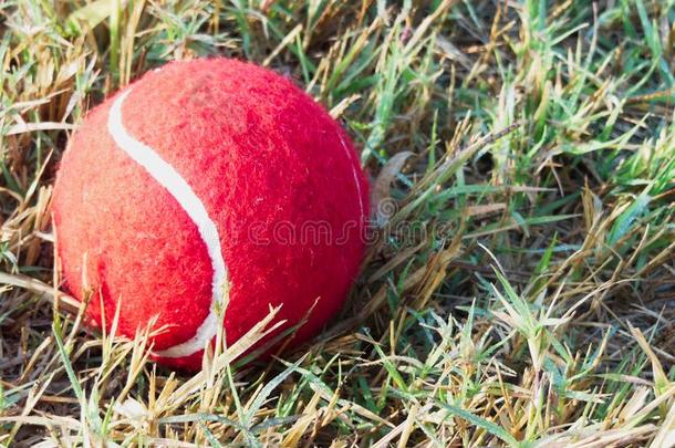 红色的网球球向<strong>水珠</strong>落下湿的绿色的草<strong>小</strong>路比赛地面
