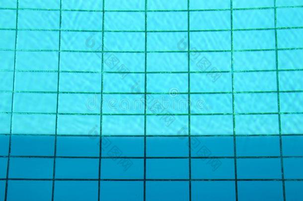 模式关于阳光向指已提到的人底部关于一水池.游泳水池.