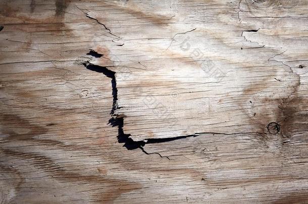 刨成片有裂缝的表面关于老的<strong>风化</strong>的木材