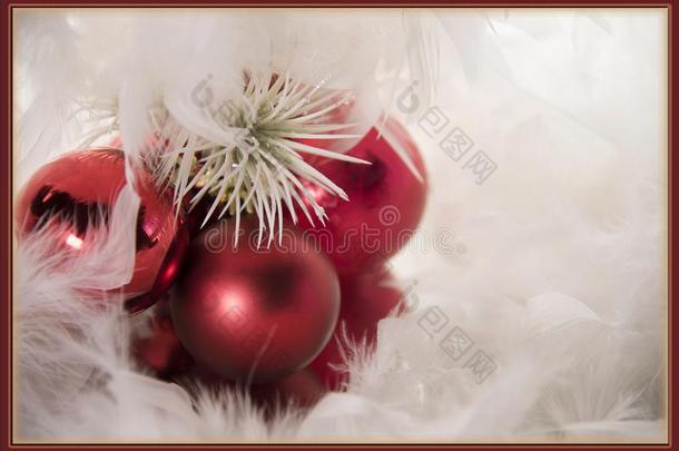 结婚圣诞节招呼卡片红色的和白色的装饰