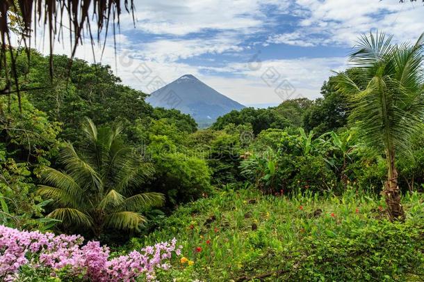 火山康塞普西翁,尼加拉瓜