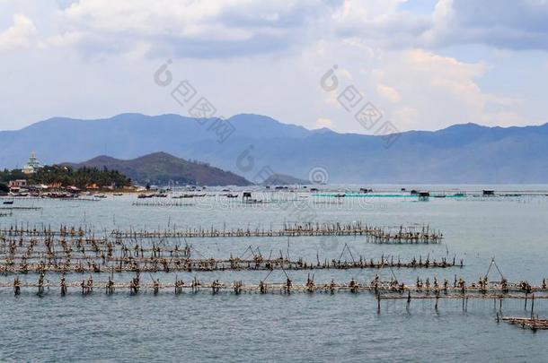 虾农场向指已提到的人海