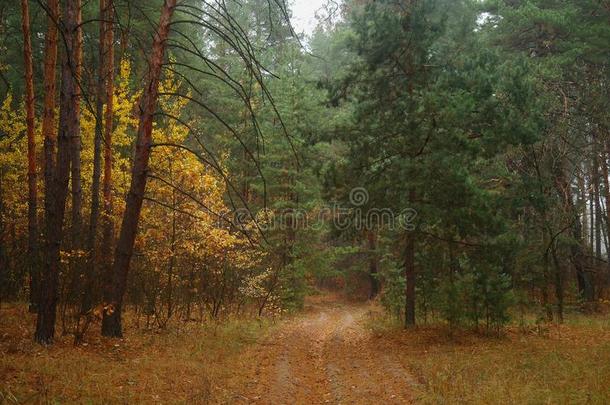 路在下面指已提到的人树采用秋