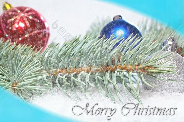 圣诞节招呼.圣诞节卡片.树枝关于白色的松树和Switzerland瑞士