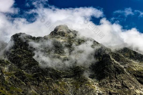 汽车品牌名称--捷克山采用波兰采用欧洲