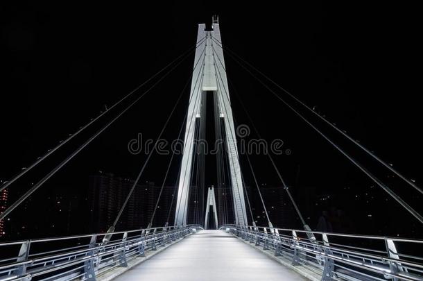缆绳-停留步行者桥采用指已提到的人夜