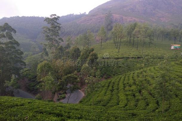 喀拉拉邦旅游茶水财产瓦加蒙穆纳尔伊杜克基