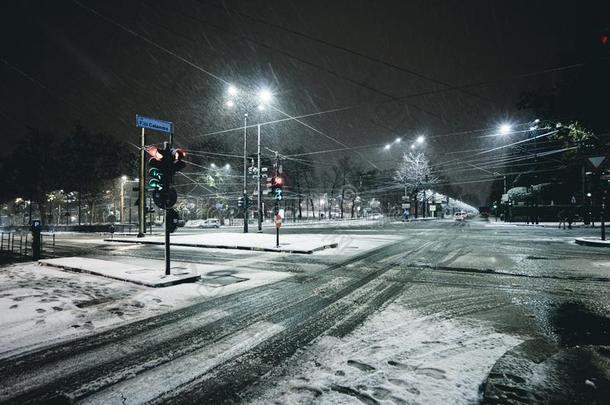 冬大街采用指已提到的人城市在夜和ra采用和雪