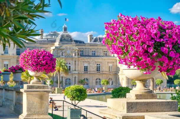 指已提到的人卢森堡公国花园和宫采用巴黎