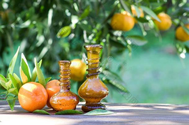 基本的柑橘属果树油和成果
