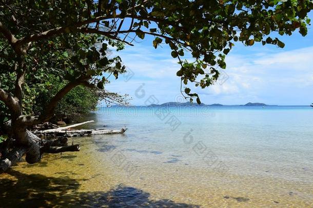 海景画和山和树在洋.岛青稞酒isl和,ThaiAirwaysInternational泰航国际