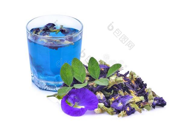 蝴蝶豌豆茶水采用指已提到的人玻璃和干燥的蝴蝶豌豆花