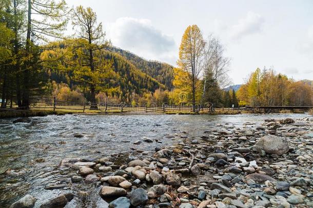 秋山风景.山河反对指已提到的人背景