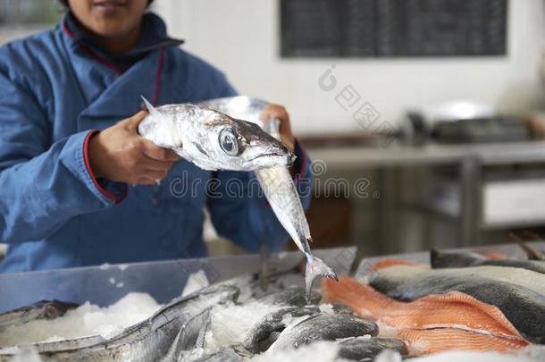新鲜的鱼和蛤演示文<strong>稿</strong>在旁边指已提到的人鱼dealer