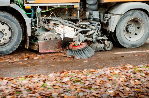 货车打扫者向都市的城市大街清洁树叶