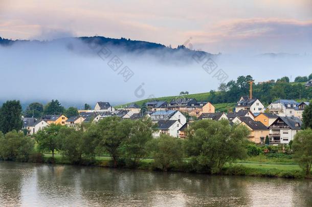早晨雾在指已提到的人河法国摩泽尔河流域产白葡萄酒